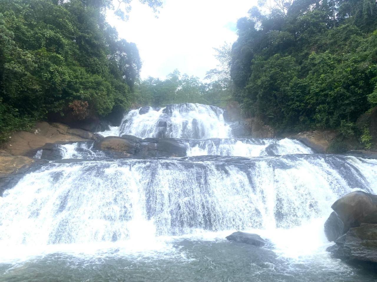 Sinharaja Riverside Deniyaya Buitenkant foto