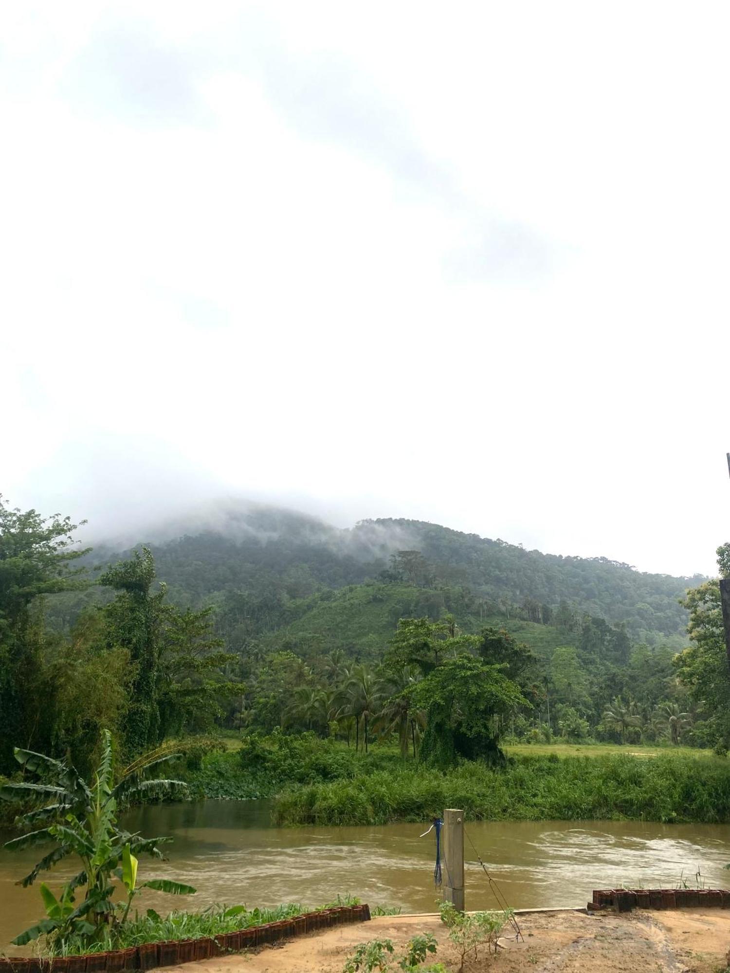 Sinharaja Riverside Deniyaya Buitenkant foto