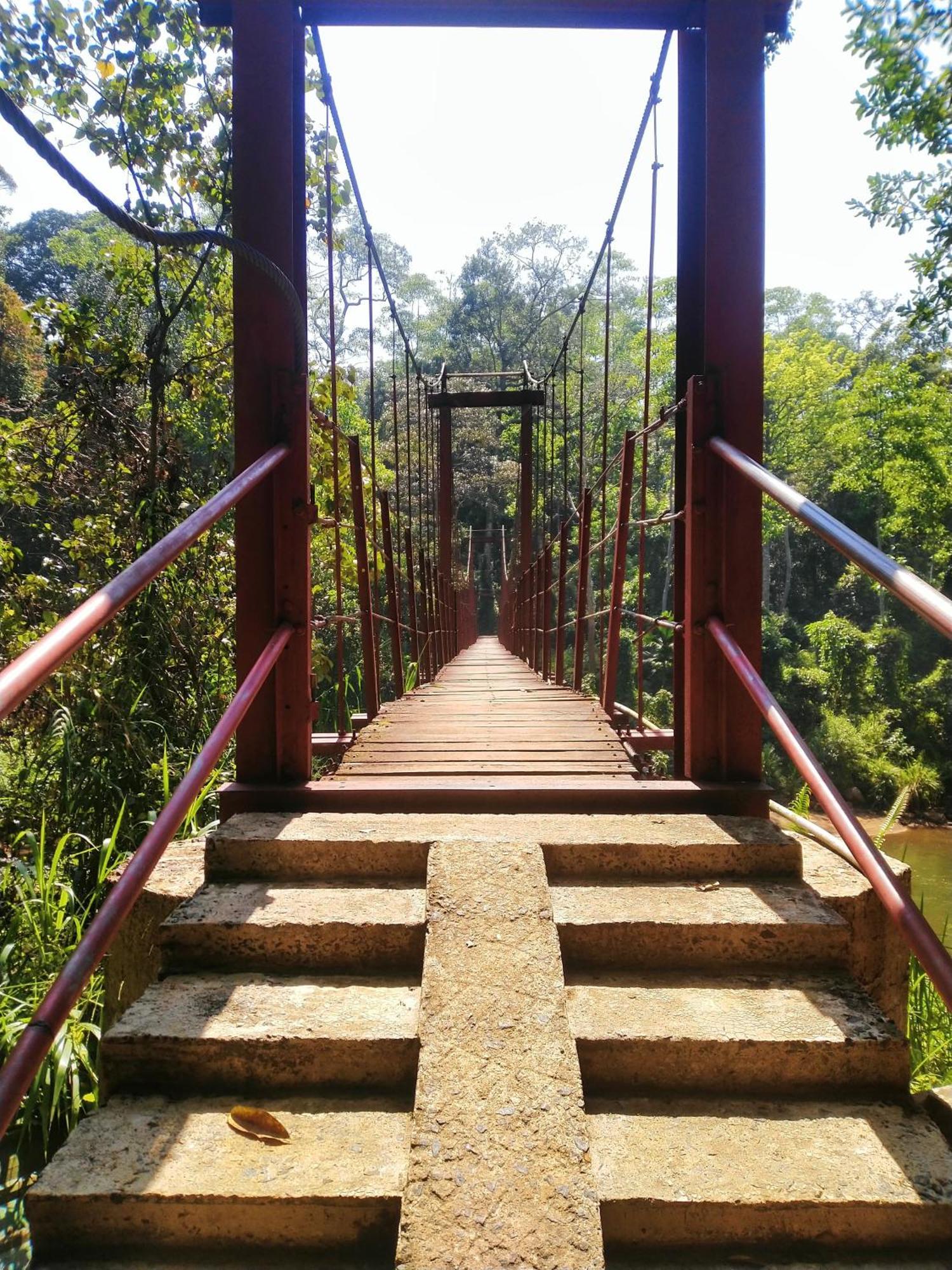 Sinharaja Riverside Deniyaya Buitenkant foto