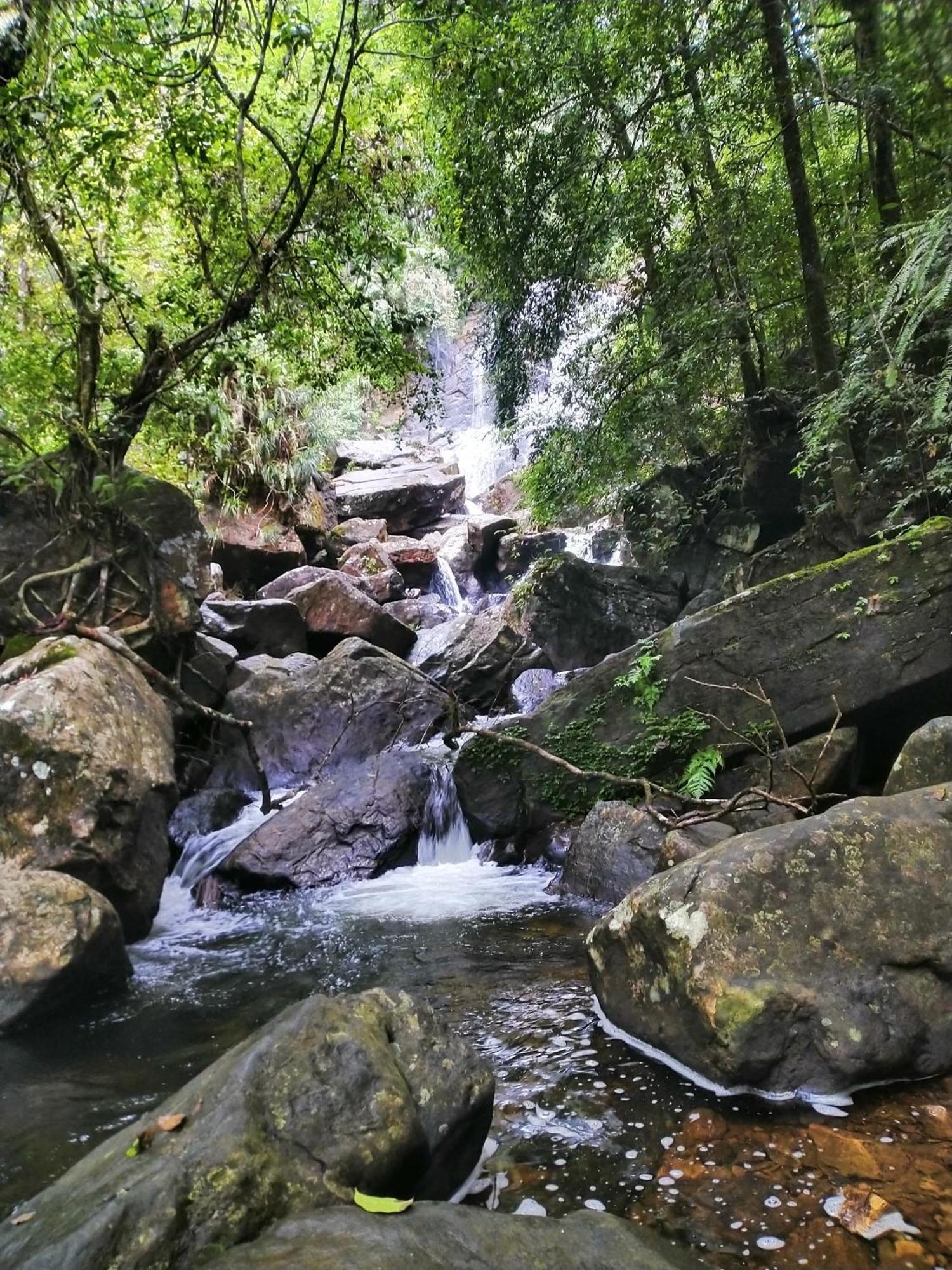 Sinharaja Riverside Deniyaya Buitenkant foto
