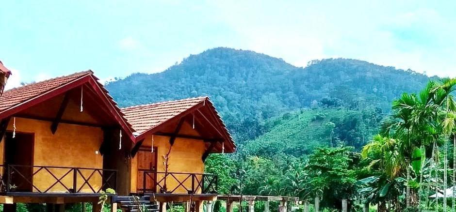 Sinharaja Riverside Deniyaya Kamer foto